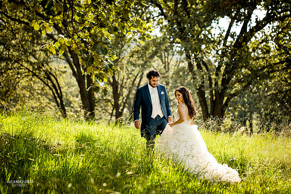 trash the dress