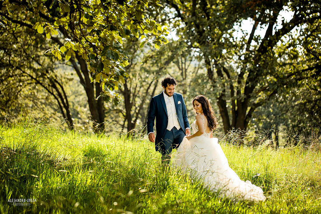 trash the dress