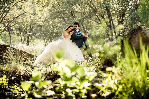 trash the dress