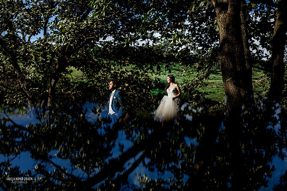 trash the dress
