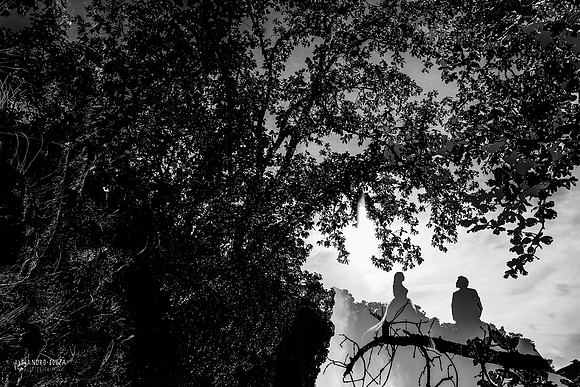 trash the dress