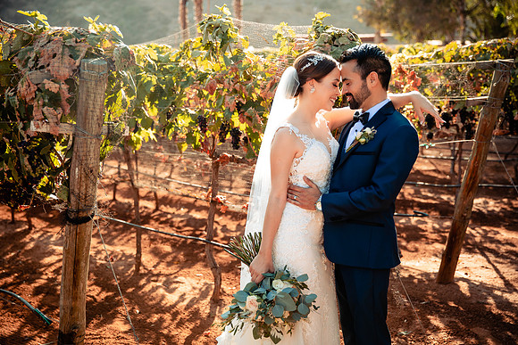 ensenada wedding photographer
