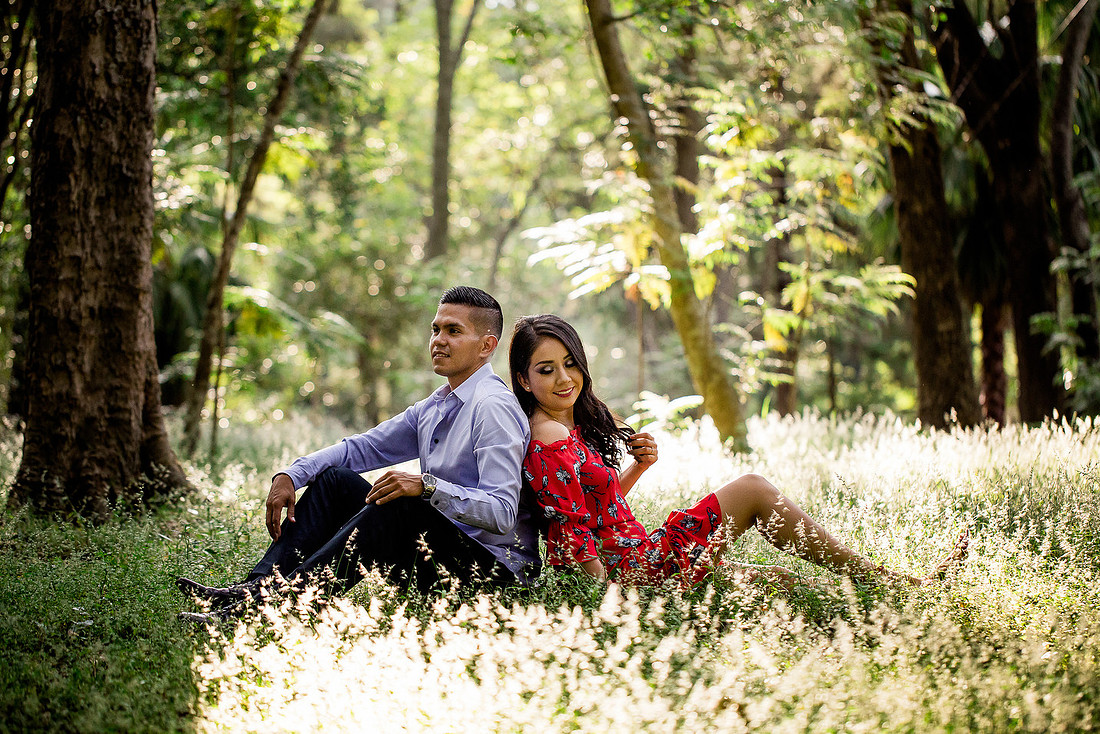 bosque los colomos