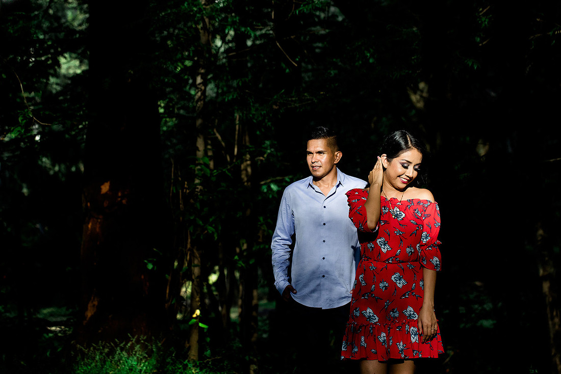 bosque los colomos