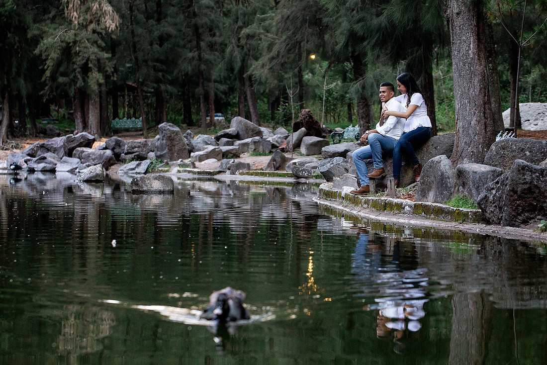 bosque los colomos