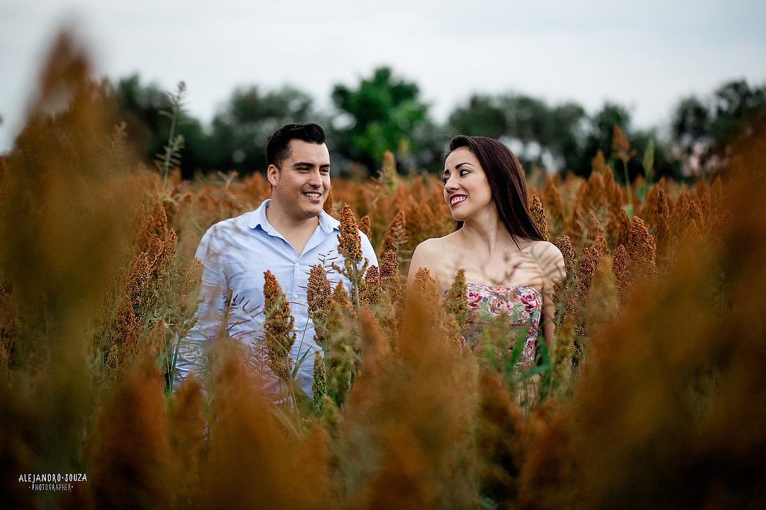 fotógrafo de bodas