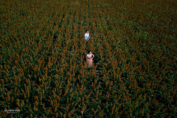 fotógrafo de bodas