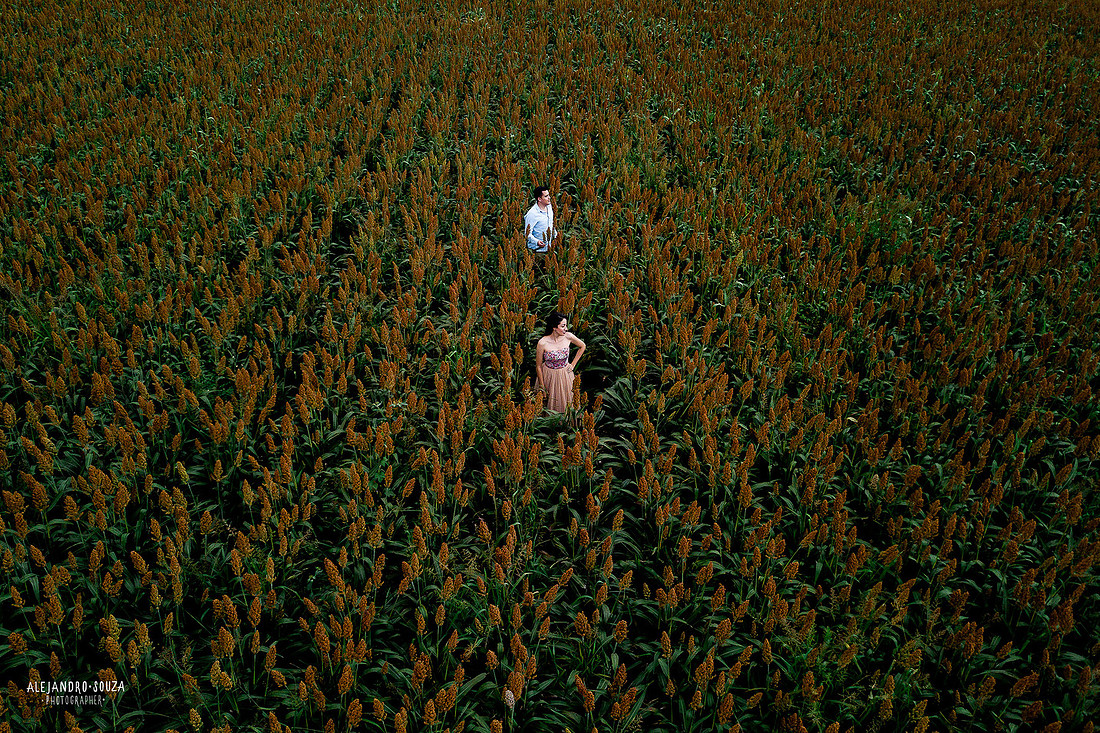 fotógrafo de bodas