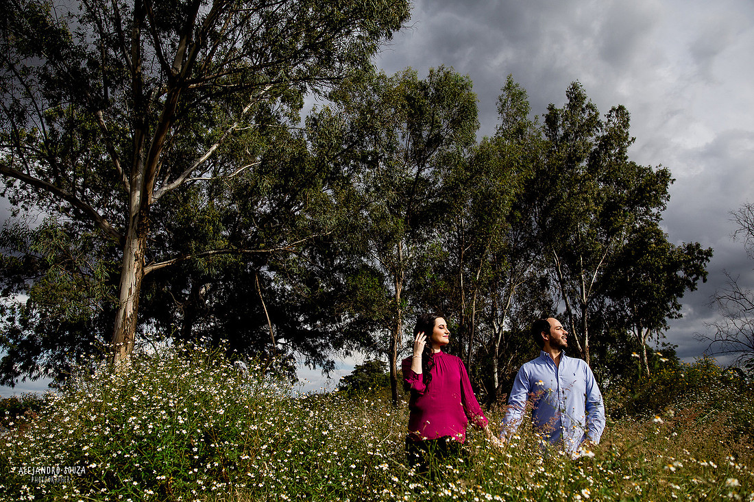 bodas guadalajara