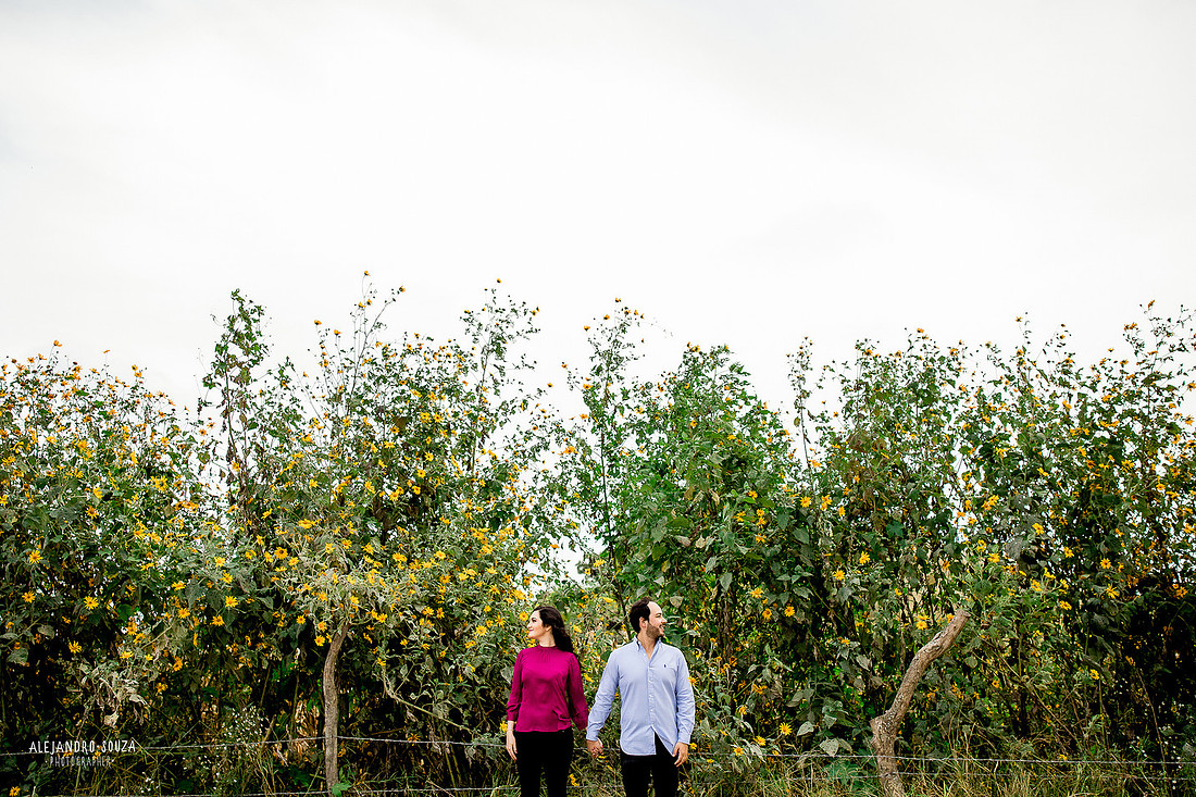 bodas guadalajara