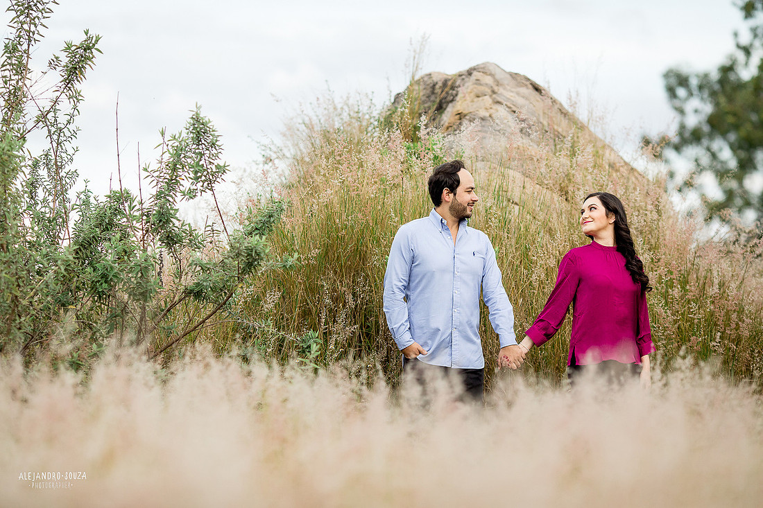 bodas guadalajara