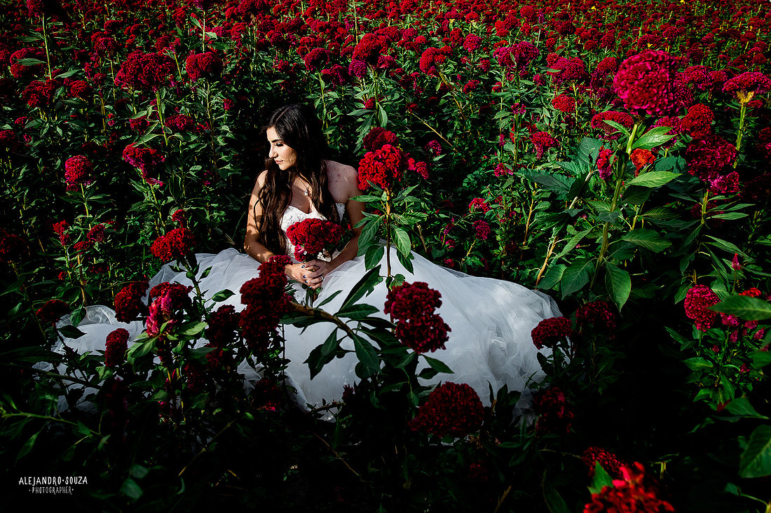 fotógrafo de bodas en guadalajara
