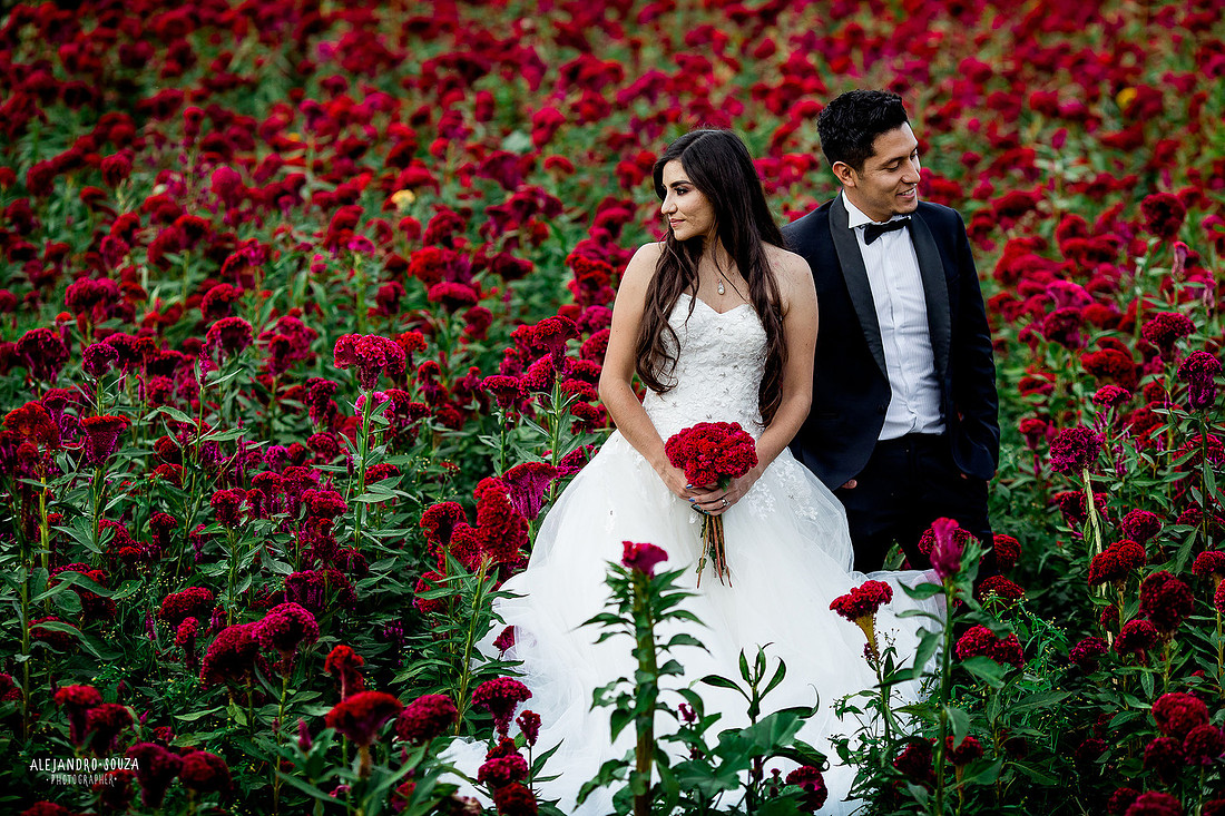 fotógrafo de bodas en guadalajara
