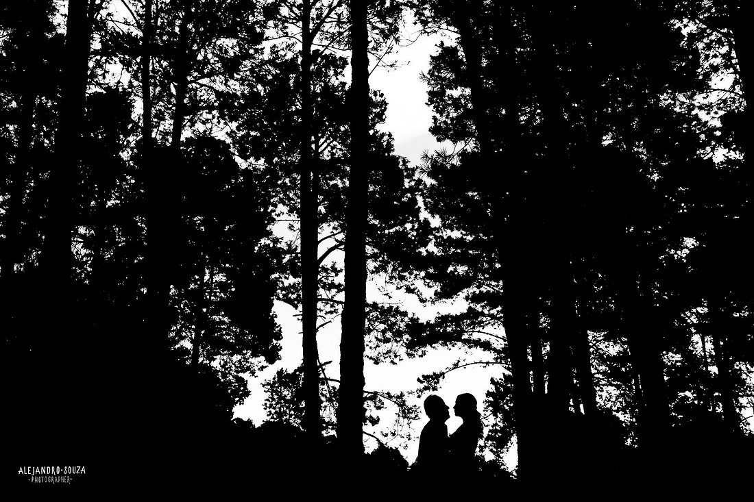 fotógrafo de bodas en guadalajara