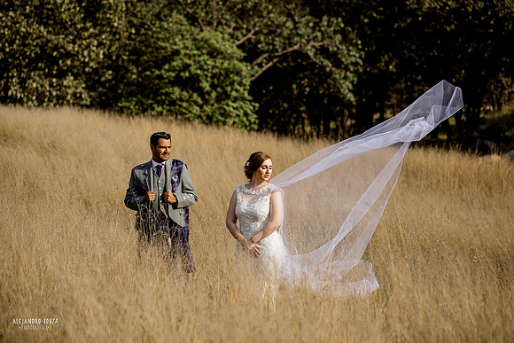 trash the dress