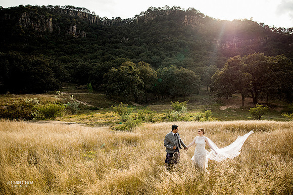 trash the dress