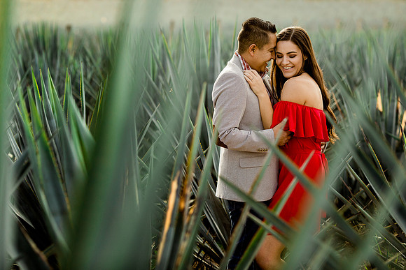 sesión casual agave