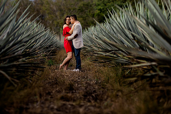 sesión casual agave