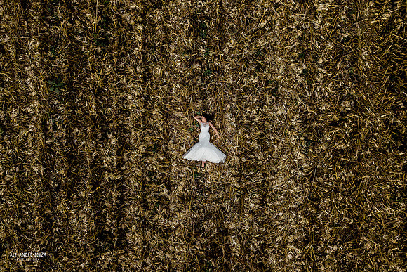 trash the dress