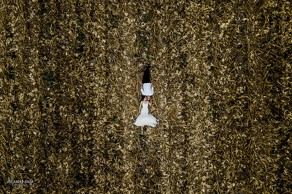 trash the dress