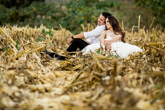 trash the dress