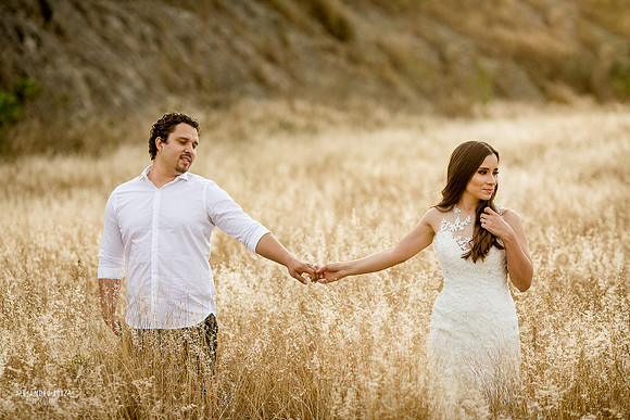 trash the dress