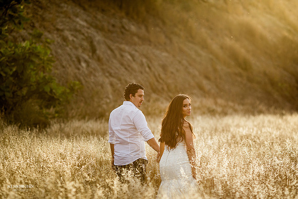 trash the dress