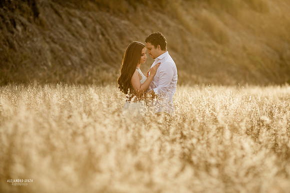 trash the dress