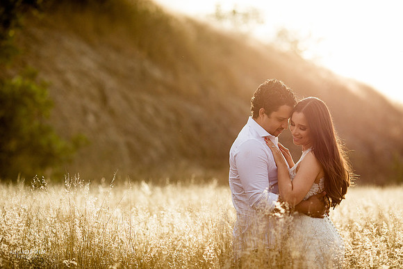 trash the dress