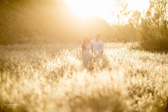 trash the dress