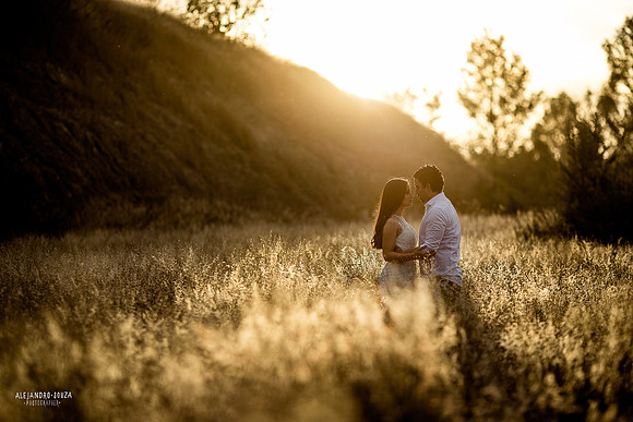 trash the dress