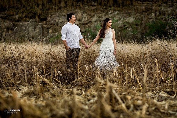 trash the dress