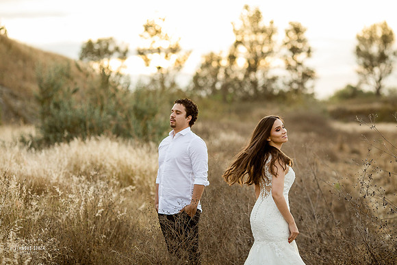 trash the dress