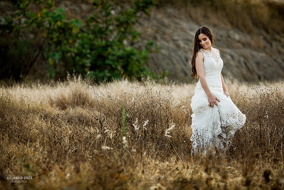 trash the dress