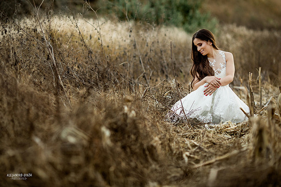 trash the dress