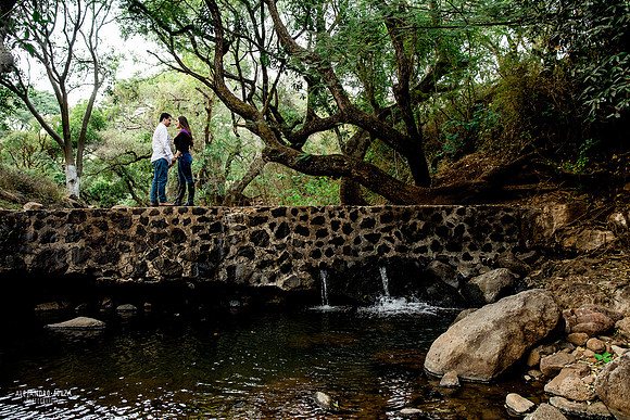 bodas guadalajara