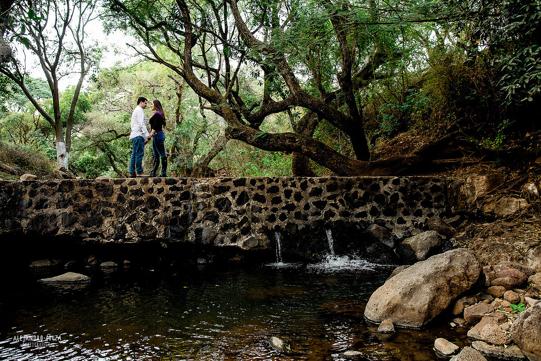 bodas guadalajara
