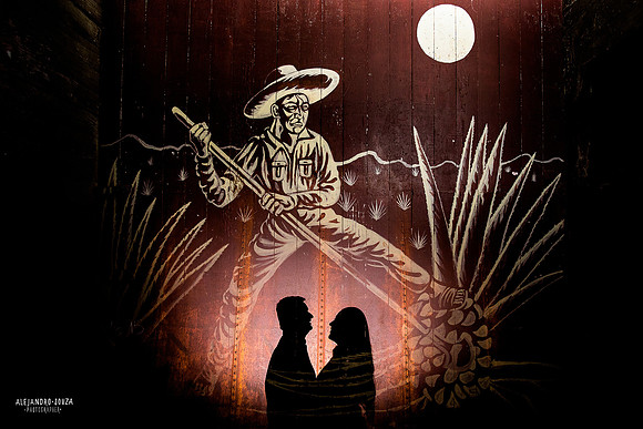 bodas guadalajara
