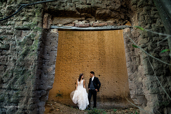 trash the dress