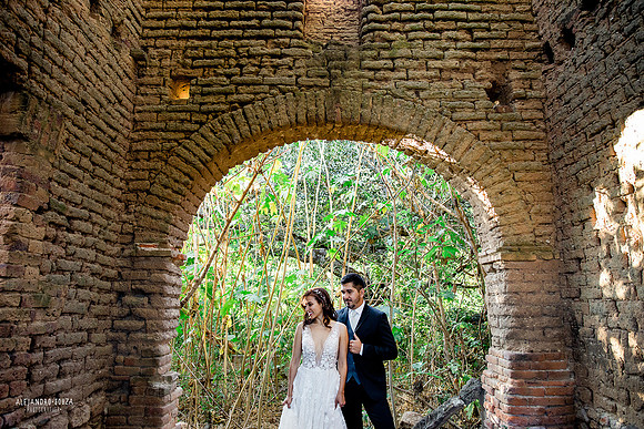 trash the dress