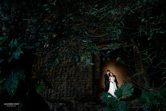 trash the dress