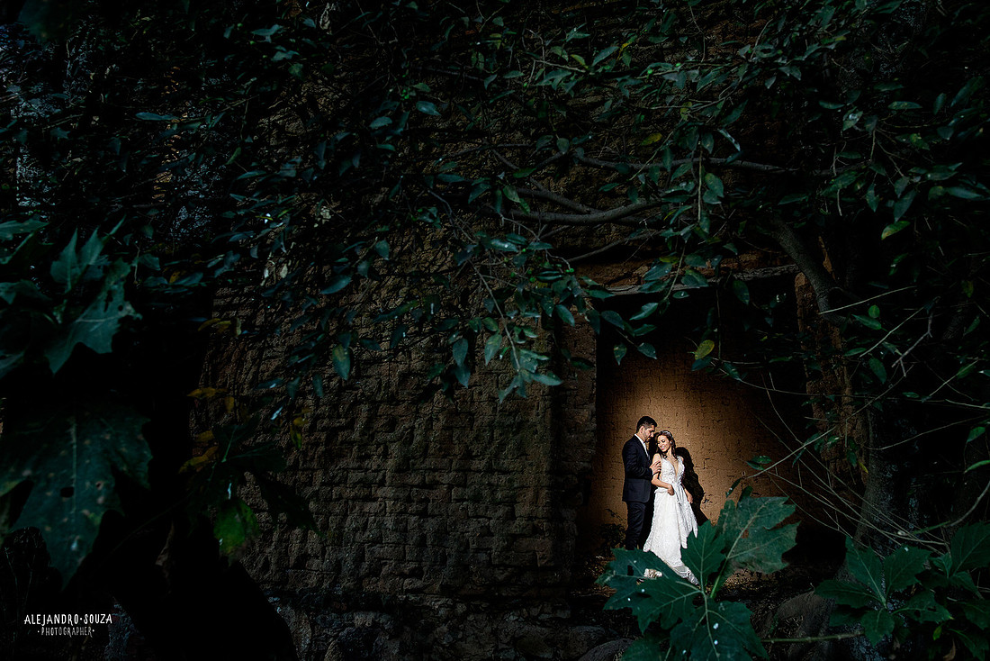 trash the dress