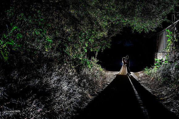 trash the dress