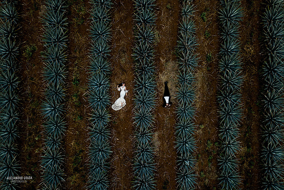 tequila tres mujeres