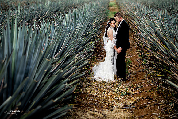 tequila tres mujeres