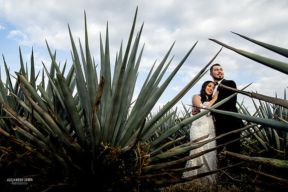 tequila tres mujeres