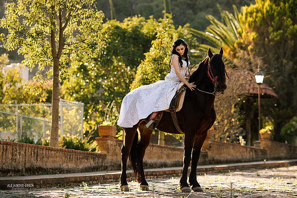 fotos en hacienda