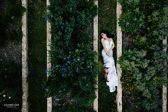 fotos en hacienda
