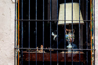 fotógrafo de bodas guadalajara