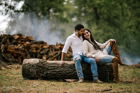 fotos en el bosque